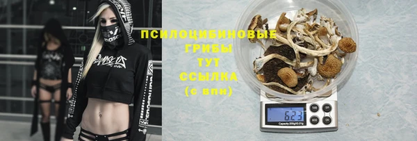 PSILOCYBIN Заволжск