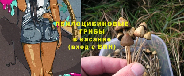 PSILOCYBIN Заволжск