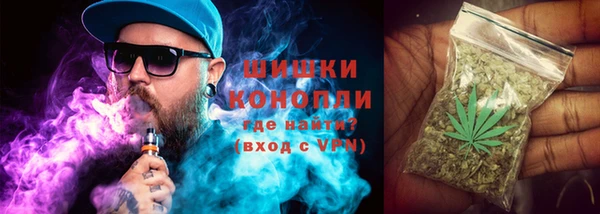 PSILOCYBIN Заволжск