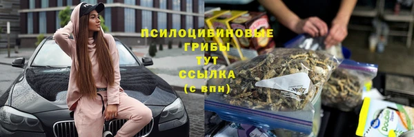 PSILOCYBIN Заволжск