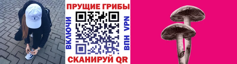 Купить закладки  Плавск  Псилоцибиновые грибы Psilocybine cubensis 